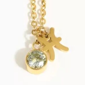 18kt Gold plated Stainless Steel Zodiac and Birthstone Necklace